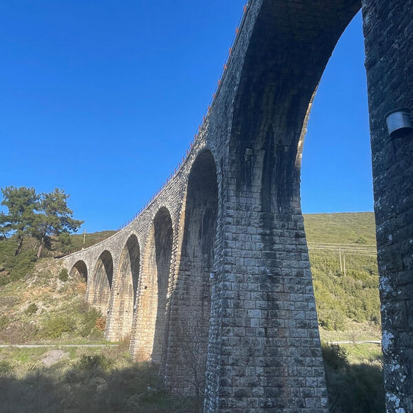 Bardouniotikos Rooster with Hilopites in the Oven (a G.G Recipe) - Gastronomy Tours img 9049 orig 1 - Gastronomy Tours
